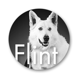 Equipe Flint
